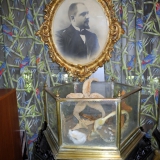 Museum Nikolaev Zoo