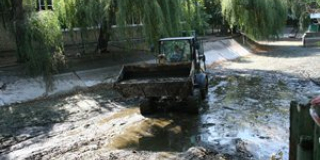 Cleaning the ponds
