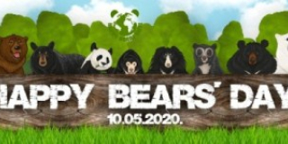 International Bear Day