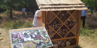Insect hotel