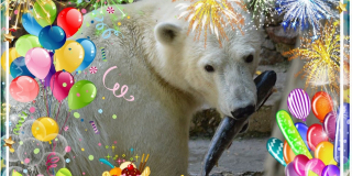 Smetanka's birthday