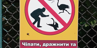 Safety techniques in the zoo