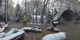 Support of Mykolaiv Zoo