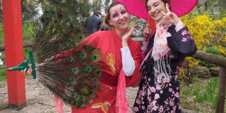 The second day of the hanami celebration