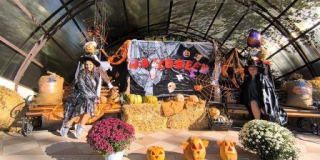 Halloween themed photo zone