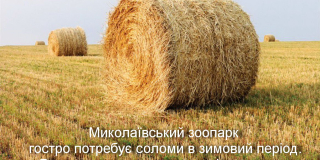 The need for straw