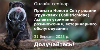 Online seminar