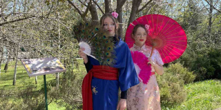 The second day of hanami at the zoo