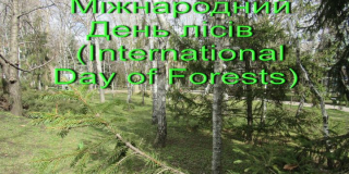 International Day of Forests