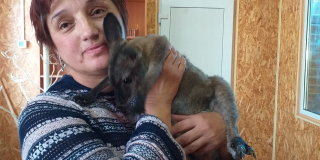 A wallaby named Syoma
