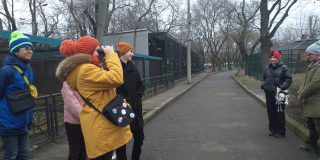 Great Winter Bird Count 