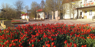 Working hours of Mykolaiv Zoo