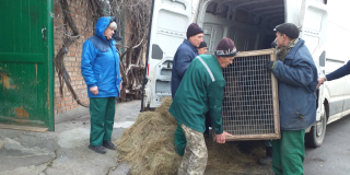 Cooperation with other zoos