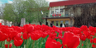Birthday of the zoo