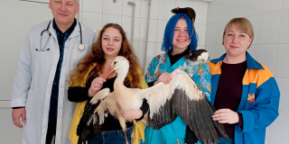 Day of Veterinary Medicine Workers