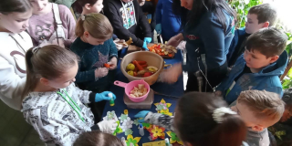 Primate feeding demonstration