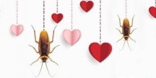  Action for Valentine's Day