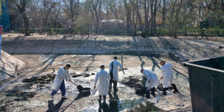 Cleaning large ponds