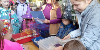 Halloween excursion