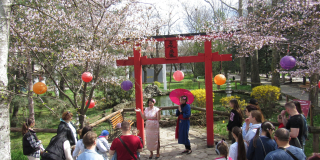 Hanami in Mykolaiv Zoo