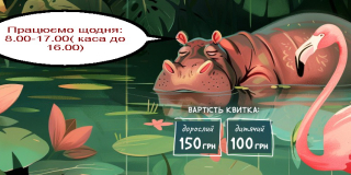 Zoo schedule