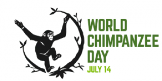 World Chimpanzee Day