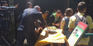 Demonstrative feeding